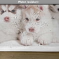 thumbnail image 6 of Ambesonne Alaskan Malamute Place Mats Set of 4, Puppy Friends, Standard Size, Multicolor, 6 of 6
