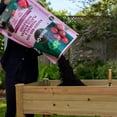 thumbnail image 2 of Miracle-Gro Raised Bed Soil 50L, 2 of 4