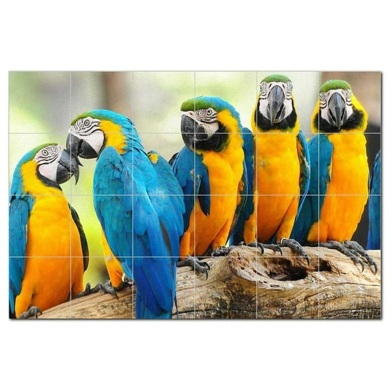 Bird Ceramic Tile Mural Kitchen Backsplash Bathroom Shower, 402063-L64