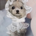 thumbnail image 3 of SPRING PARK Pet Lace Hat Breathable Good-Looking Puppy Lace Hat for Dog Supplies, 3 of 5