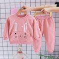 thumbnail image 6 of TOWED22 Toddler Girl Fall Clothes Soft Outfits Set Graphic Print/Embroidery Knit Top & Sweatpants 2Pcs Cute Home Outdoor,Pink,9-12 M, 6 of 7