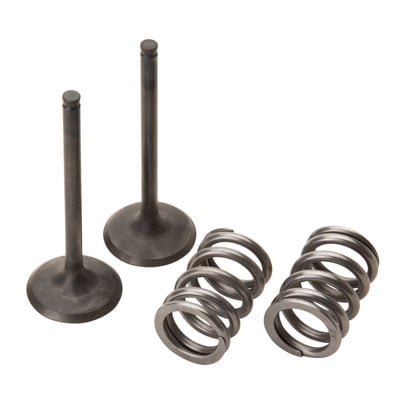 Pro X 28.SES3408-1 Steel Exhaust Valve/Spring Kit