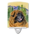 thumbnail image 1 of Carolines Treasures SS8202CNL Leonberger Ceramic Night Light, 6x4x3, Multicolor, 1 of 1