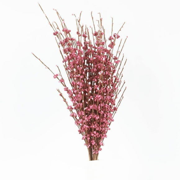 NOLAST 10 Pieces 29.5" Long of Artificial Flowers Faux Jasmine Fake Flower Pussy Willow Branches Stems for Vase Wedding Home Office Party Hotel Restaurant Decoration (Fushia)
