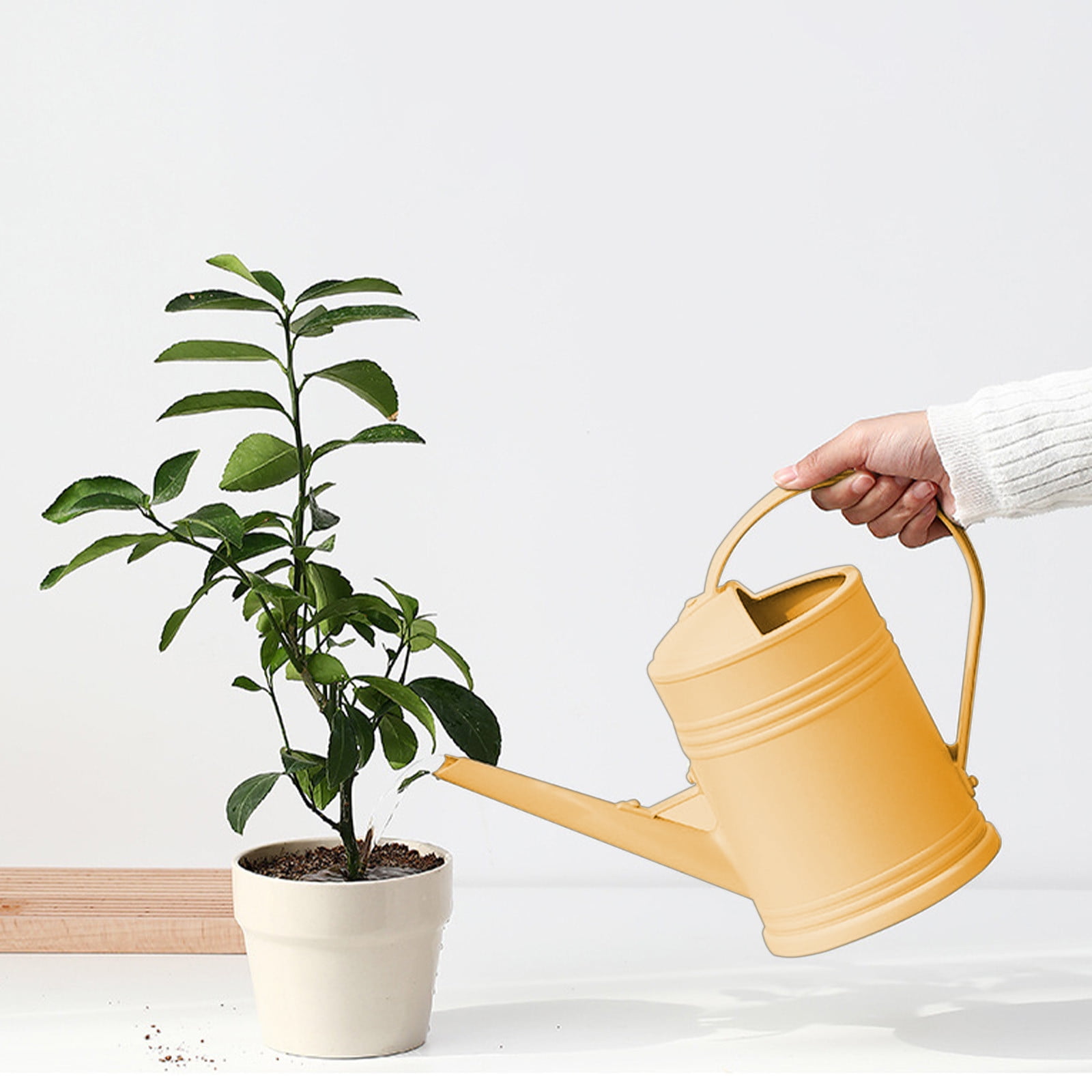 Long Spout Watering Can for Indoor Plants 2L Watering Kettle with Long Nozzle, Plastic Gardening Watering Can for Indoor Plants, Flower Wall Decor