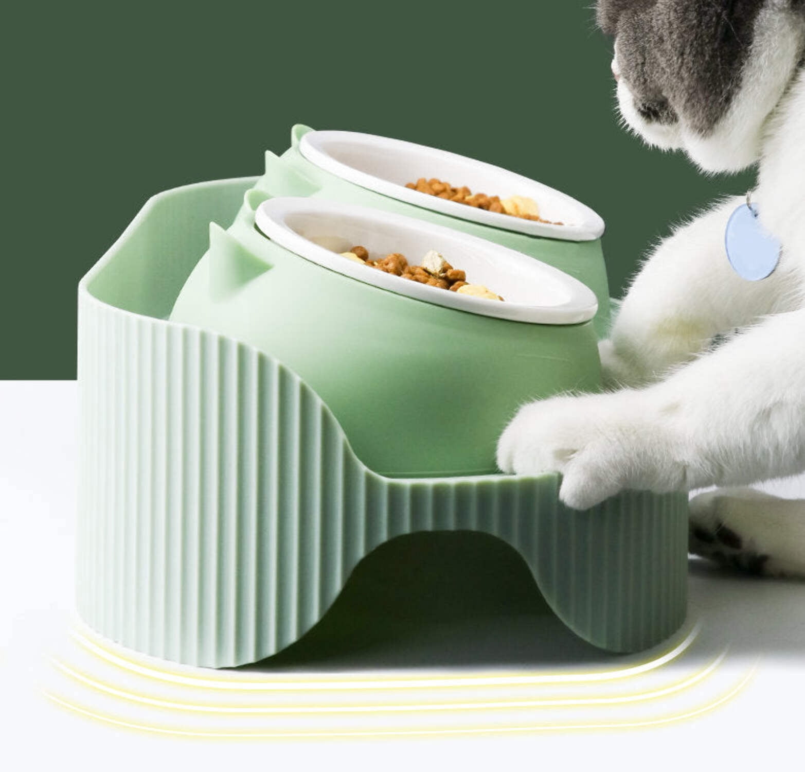 Ceramic Food and Water Bowl Station for Cats