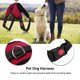 thumbnail image 1 of Arnés de Perro Rojo, Arnés de Seguridad Acesorio de Acesio Chaleco de Escape Arneses Para Perros para Mascota Coreas para el Pecho de la Masa para Pequeños Pequeños, 1 of 7