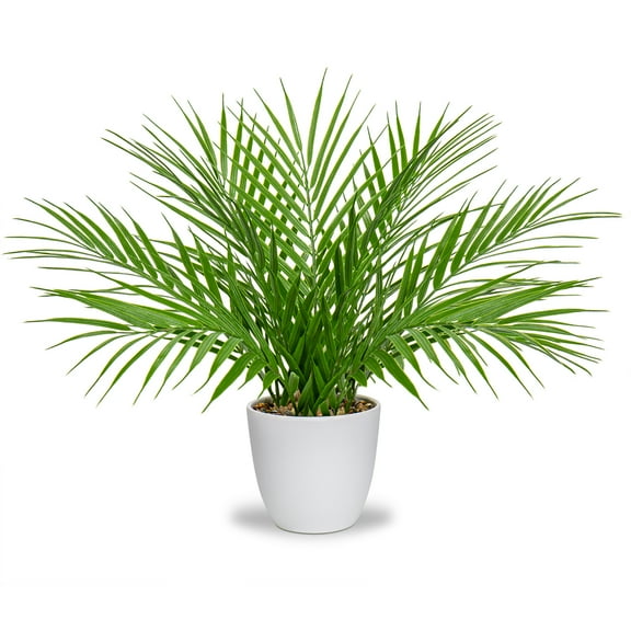 15"Artificial Palm Plant Real Touch Faux Tropical Palm Tree in White Pot Home Indoor Living Room Tabletop Balcony Decorations