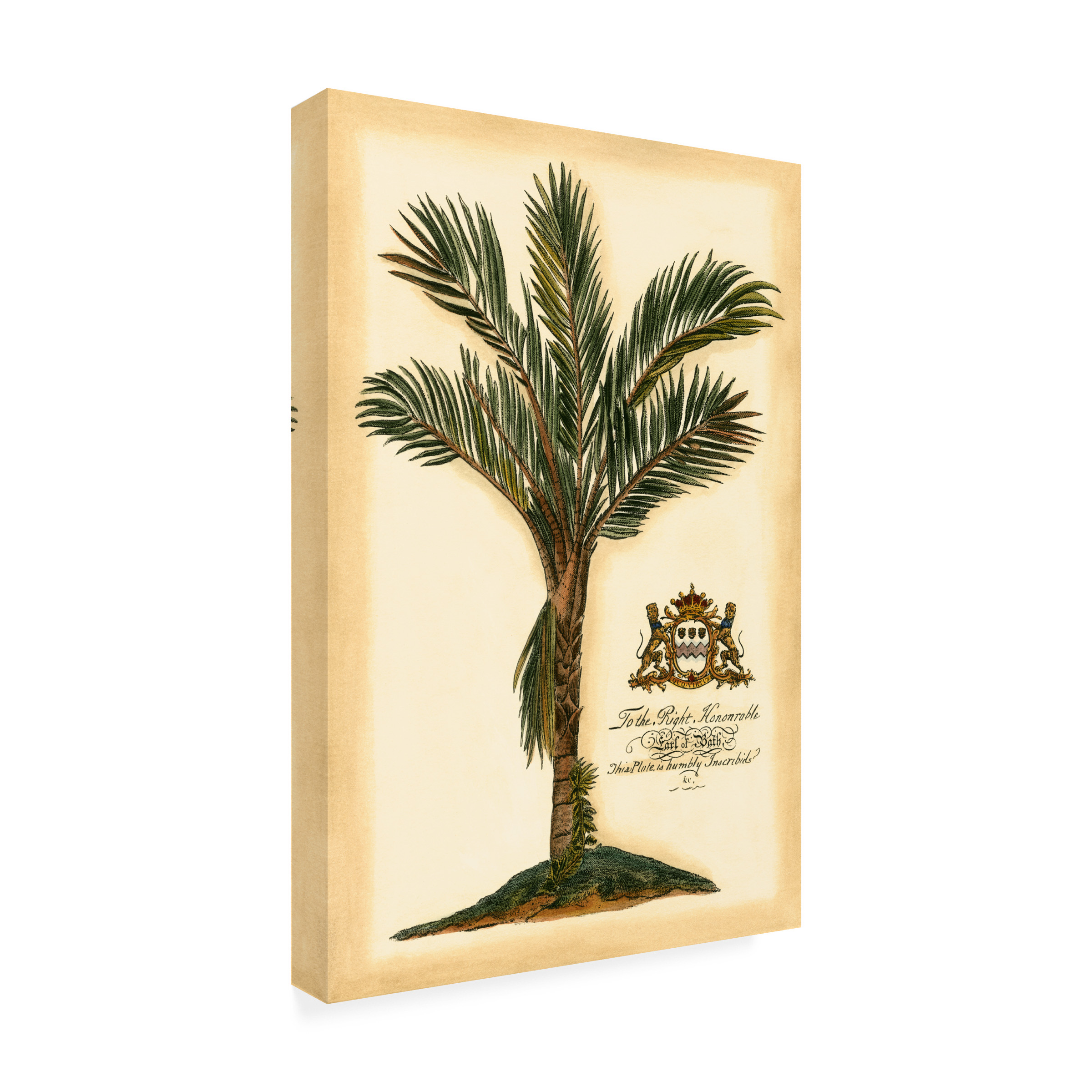 Trademark Fine Art Vision Studio British Colonial Palm Iv Canvas Wall Art - 30x47