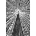 thumbnail image 3 of Casanova, Francois 11x14 Black Modern Framed Museum Art Print Titled - The Giant, 3 of 5