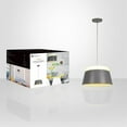 thumbnail image 3 of Xtricity - Pendant Light, 13.77 '' Width, From the Jazzi Collection, Gray, 3 of 3