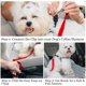 thumbnail image 4 of piezas de cinturón de seguridad para perro para coche/cinturón de seguridad para perro para coche/arnés de coche para perro, accesorios de viaje para mascotas, 4 of 5
