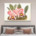 thumbnail image 4 of Póster de lienzo con dos orquídeas, decoración de dormitorio, paisaje deportivo, decoración de oficina, regalo, estilo marco, 12 x 18 pulgadas (30 x 45 cm), 4 of 8