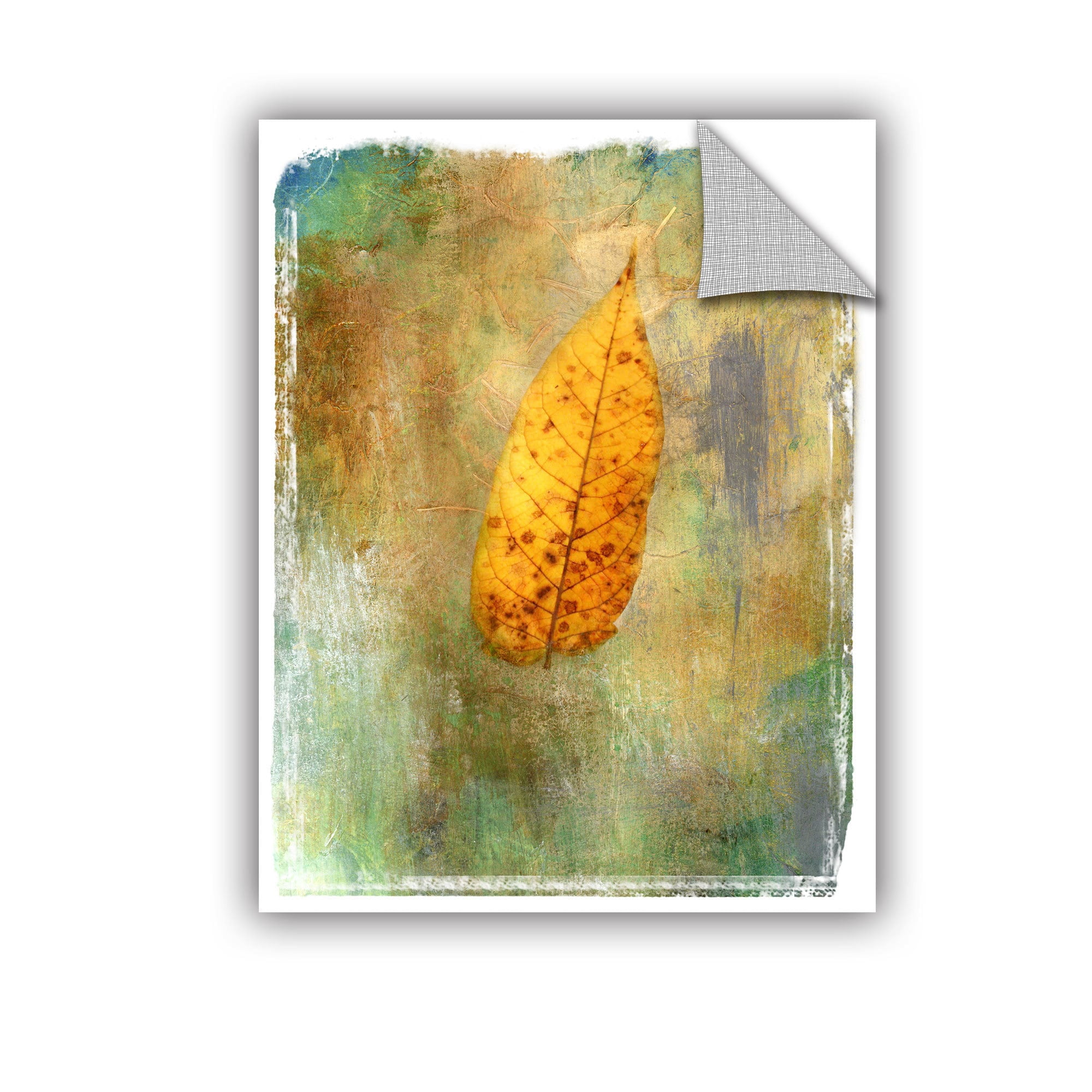 ArtWall Elena Ray "Leaf II" Art Appeals Removable Wall Art