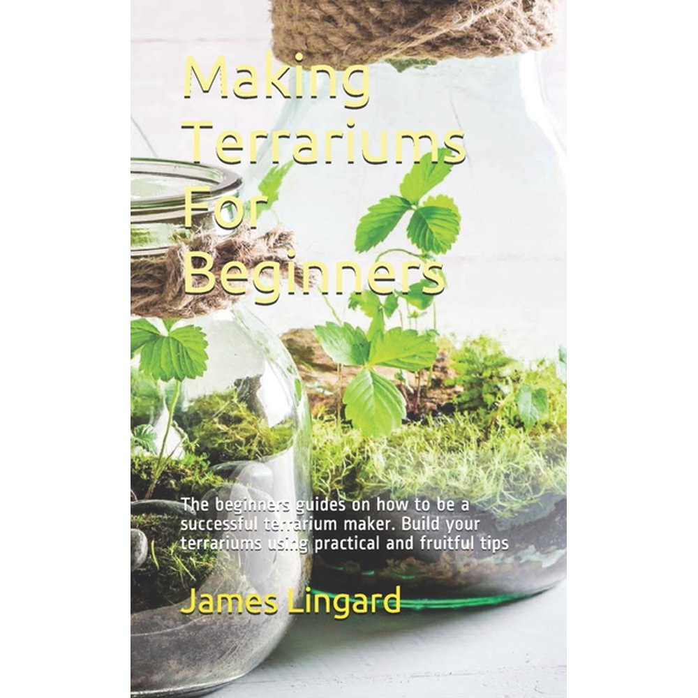 Making Terrariums For Beginners The beginners guides on how to be a