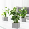 thumbnail image 6 of MyGift Artificial Taro Plants Faux Greenery in Gray Cement Square Pots, Set of 3, 6 of 6