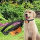 thumbnail image 5 of Collar de ladridos de perro Sunnimix USB recargable ultrasónico Stop Naranja Collar de entrenamiento de ladridos, 5 of 8