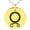 Gold, variant on Stainless Steel Troll Cross Viking Norse Engraved Small Medallion Circle Charm Pendant Necklace