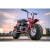 2021 new Coleman Powersports CT200U-A Trail 196cc Gas-Powered Mini Bike