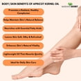 thumbnail image 7 of Mayan's Secret Apricot Kernel Oil 4 oz for Hair, Scalp & Body Care, 7 of 7