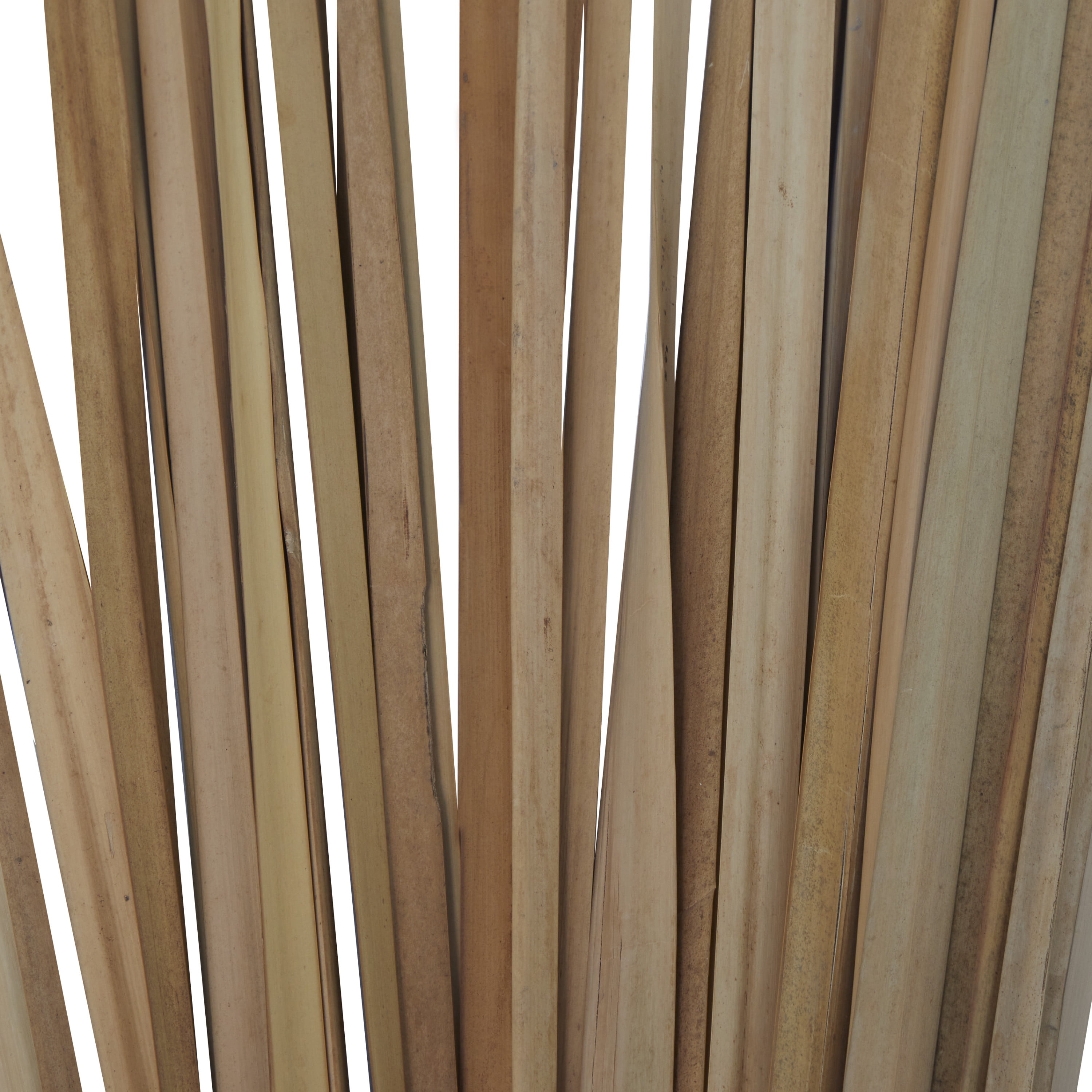 40" Dried Plant Natural Foliage Bouquet with Slender Stems, by DecMode