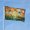 Dragonfly, variant on Vintage Banjo Frog Garden Flags for Outside 3x5 Ft Double Sided Large House Flag Retro Moon Night Frogs Flags Housewarming Gifts for Women Men Adults House Yard Outdoor Patio Decor