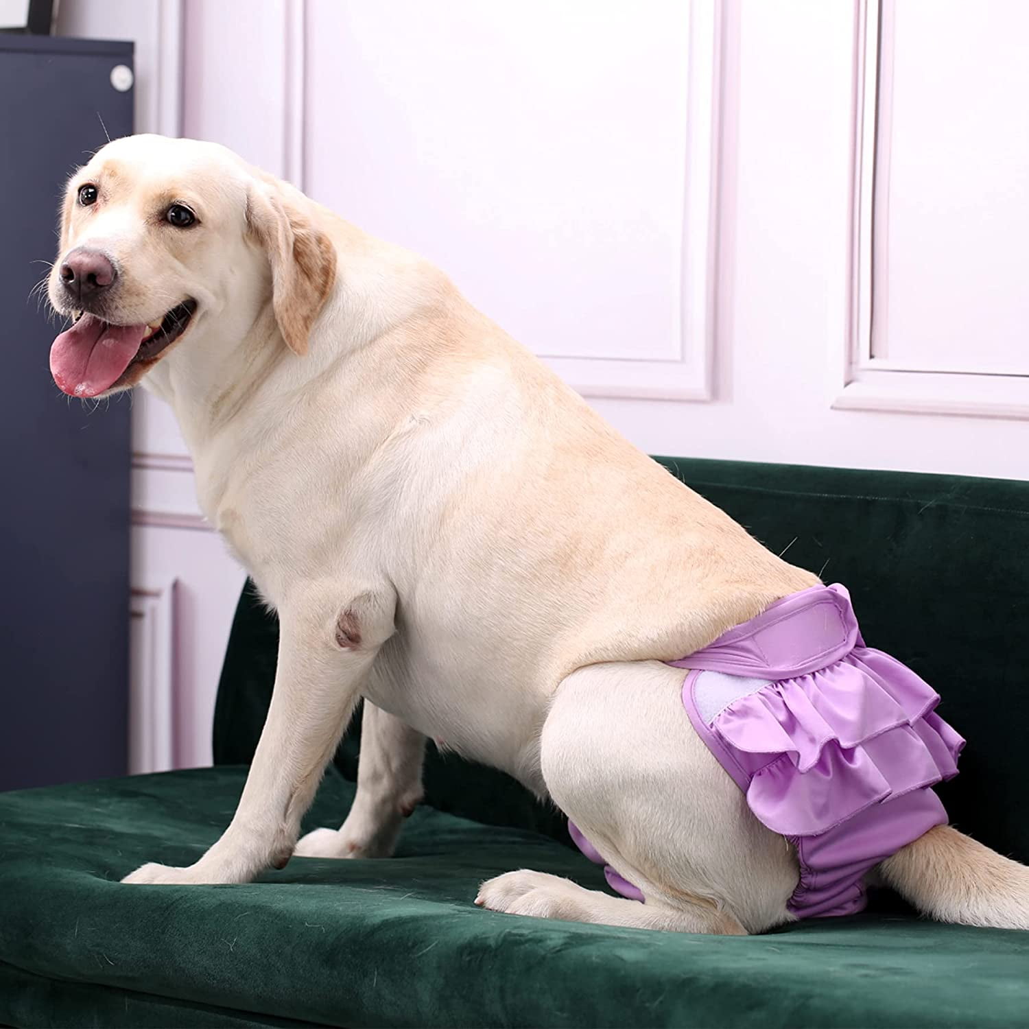 Washable Female Dog Diapers, Puppy Diapers for Dog Period Reusable Doggie Diapers, Highly Absorbent Dog Heat Panties