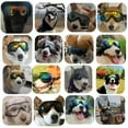 thumbnail image 5 of Bienvenido Gafas para mascotas con dos correas elásticas para una protección más fuerte contra salpicaduras., 5 of 5