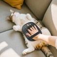 thumbnail image 5 of Pet Hair Removal Glove for Cats Dogs,2025 Electrostatic Pet Hair Remover Grooming Removal Gloves for Pets Hair,Hair Remover Gloves for Couch Clothes Carpet Bed Furniture Pet Grooming, 5 of 7