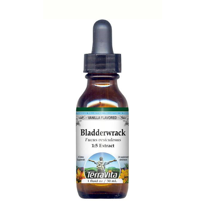 Bladderwrack Blue-Green Kelp Glycerite Liquid Extract (1:5) Vanilla Flavored (1 fl oz,... by TerraVita