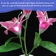 thumbnail image 4 of TABLETREANDS Decorativa De Con Flor De Para Uso Y, 4 of 6