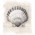thumbnail image 3 of Meagher, Megan 20x23 Black Modern Framed Museum Art Print Titled - Shell Schematic III, 3 of 5