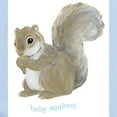 thumbnail image 2 of CafePress - Little Squirrel Baby Onesie - Baby Light Bodysuit, Size Newborn - 24 Months, 2 of 4