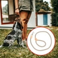 thumbnail image 2 of UPGRATOR 1Pack Dog Rope Leashes for Training and Walking 12in, 2 of 8