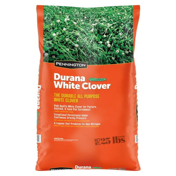 Pennington Durana Perennial White Clover Grass Seed, 25lb