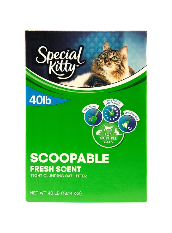 Special Kitty Cat Litter in Special Kitty