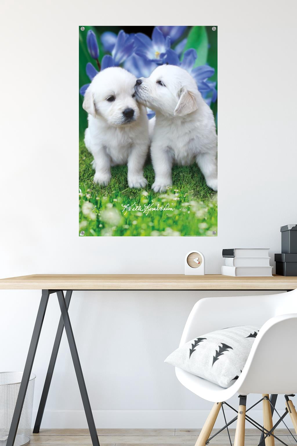Keith Kimberlin - White Golden Retriever Puppies Wall Poster with Pushpins, 22.375" x 34"