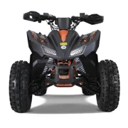 Rival Trailhawk 10 125cc Fully Automatic Mid Sport ATV