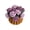 Purple, variant on Weiwen Crochet Flower Coaster, Round Floral Mug Rug, Knitted Cup Mat with Rose Border