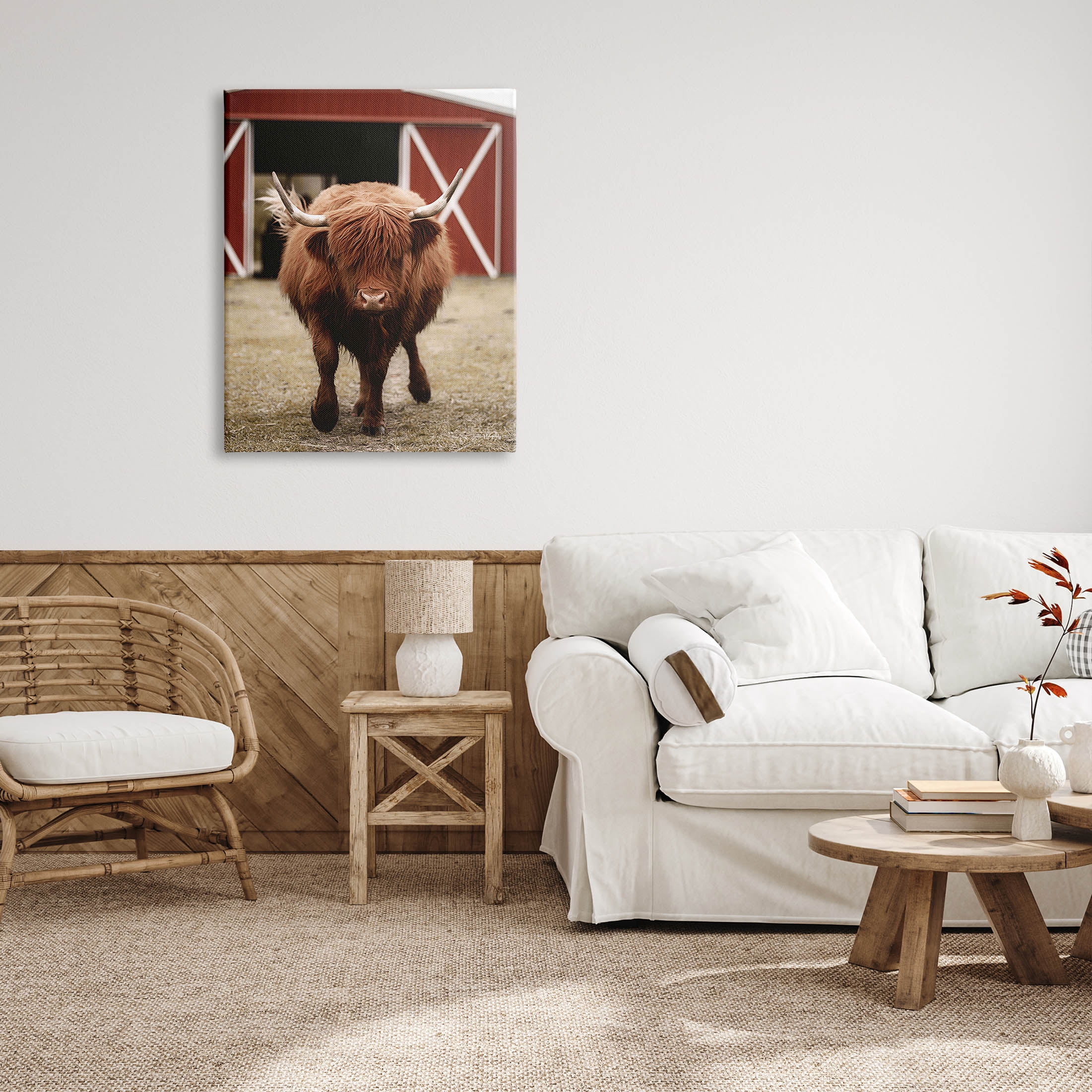 Stupell Industries Trotting Highland Cattle Bold Red Barn Photograph Gallery Wrapped Canvas Print Wall Art, Design by Dakota Diener