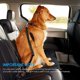 thumbnail image 4 of Cinturón de seguridad para perros para automóvil Arnés de seguridad premium con absorción de impactos y mosquetón elástico ajustable, paquete de 2 clips para correa automática para todos los perros y gatos Rojo Verde Cocina, Decoración y Otros, 4 of 5