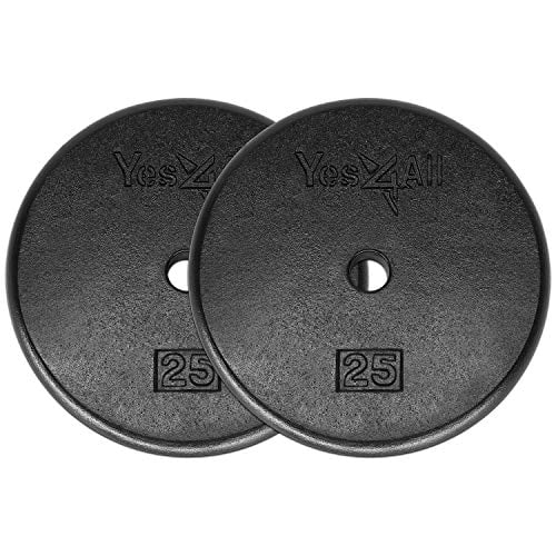 Yes4All 1inch Cast Iron Weight Plates for Dumbbells ? Standard Weight