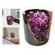 thumbnail image 5 of Velas perfumadas pequeñas, aromaterapia, velas de cera de soja, adorno hecho a mano, alivio Púrpura, 5 of 9