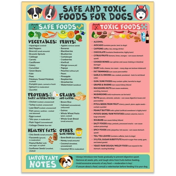 Safe And Toxic Foods For Dogs Poster Pet Safety Chart And Canine Nutrition Guide, Waterproof & Humidity
