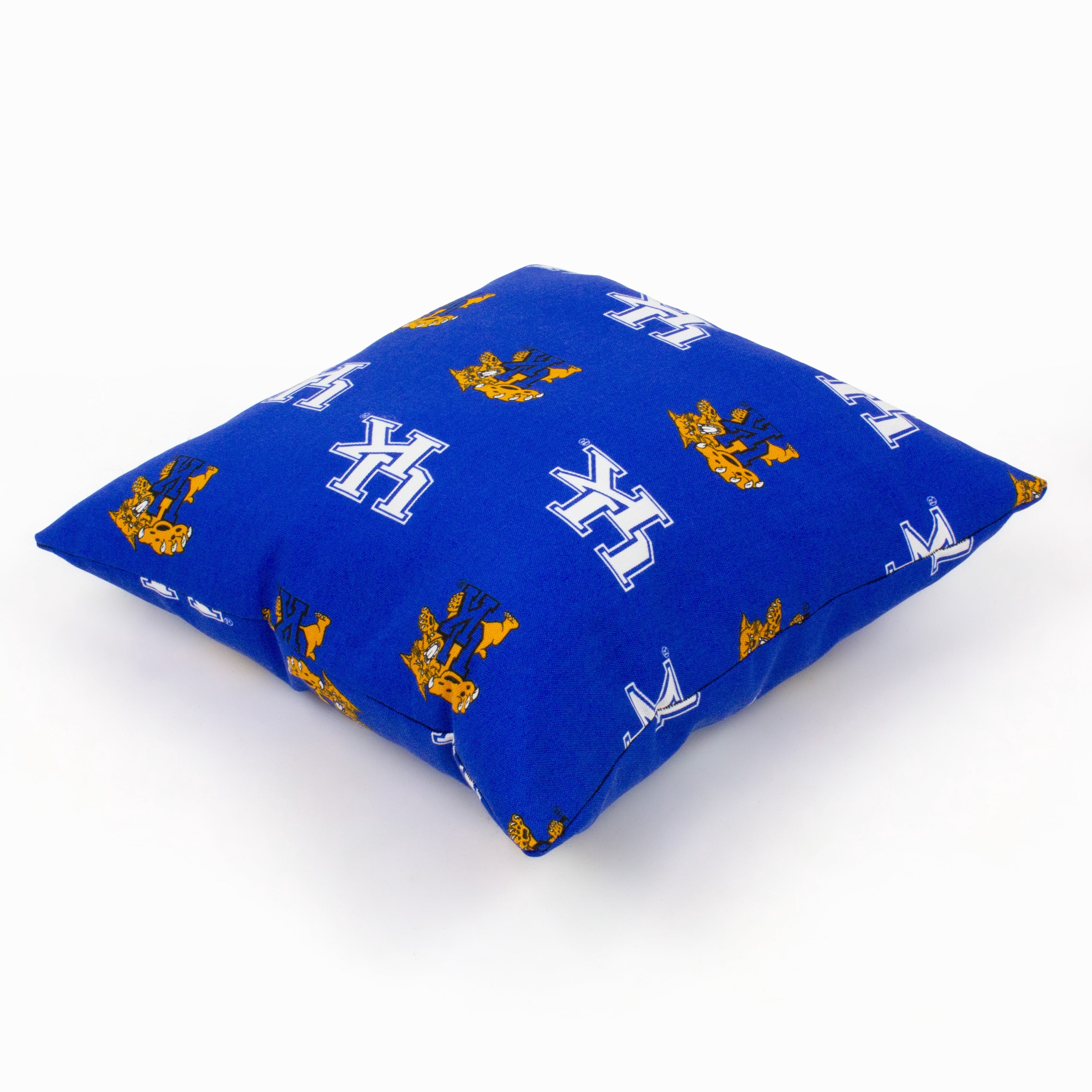 Kentucky Wildcats College Covers Indoor or Outdoor Decorative Pillow Pair, 16 in x 16 in