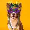 thumbnail image 4 of Set de accesorios para Mardi Gras Winlyn, 128 unidades, recuerdos de fiesta, 4 of 9