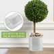 thumbnail image 4 of 5 bolsas anticongelantes reutilizables para exteriores, para proteger plantas, para macetas de invierno, con aislamiento térmico, para proteger plantas de exterior, 4 of 8