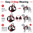 thumbnail image 6 of SDFTDG No-Pull Dog Harness with Handle Reflective Breathable Adjustable S-XL(M,Red), 6 of 9