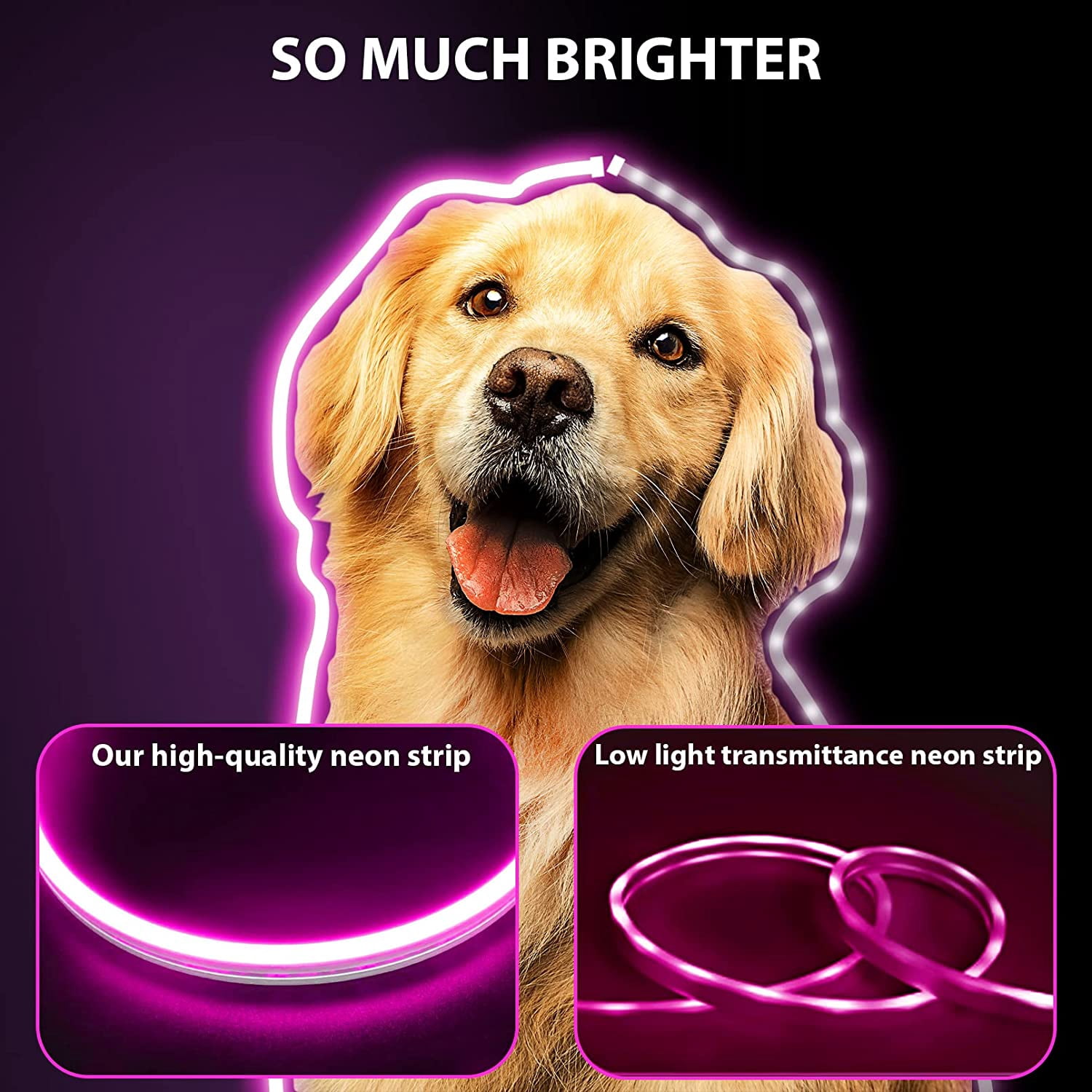 Rosnek Dimmable LED Neon Strip Light Touch Switch Waterproof Silicone Neon Rope Flexible Light, 32.8FT, Pink