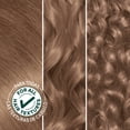 thumbnail image 3 of Garnier Nutrisse Nourishing Hair Color Creme, 811 Medium Extra Ash Blonde (Frozen Mochaccino), 1 kit, 3 of 13